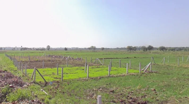 Kadoda, Madhya Pradesh 453220, India preview 3