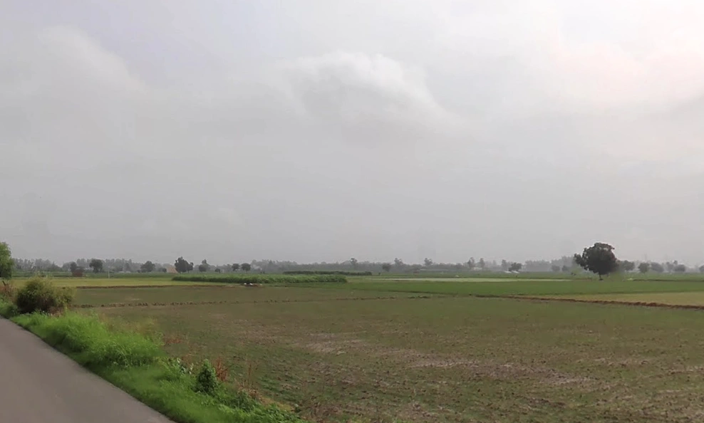 SunderPur, Haryana 126116, India