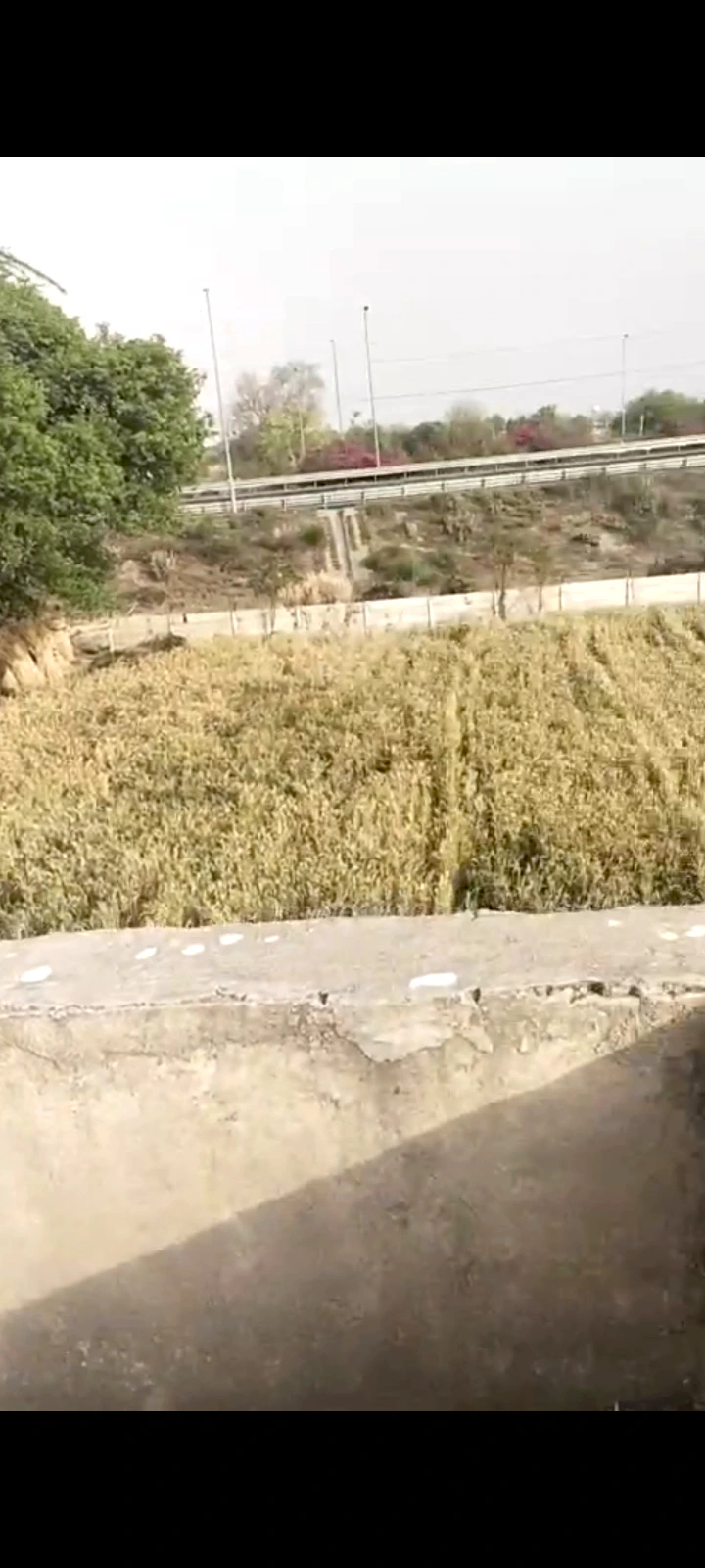 Seetal, Rajasthan 301021, India