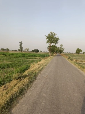 Barnagar, Madhya Pradesh 456771, India
