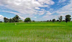 Kalyanpur, Uttar Pradesh 212108, India preview 3