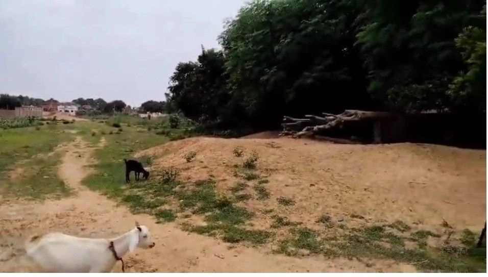 Makhdumpur, Bihar 804422, India