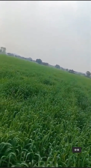 GW5H+RVH, Khai Kheda, Madhya Pradesh 463111, India