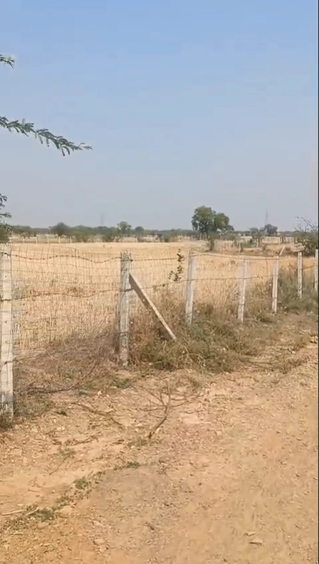 XVQH+62 Bhojpura, Rajasthan, India preview 2