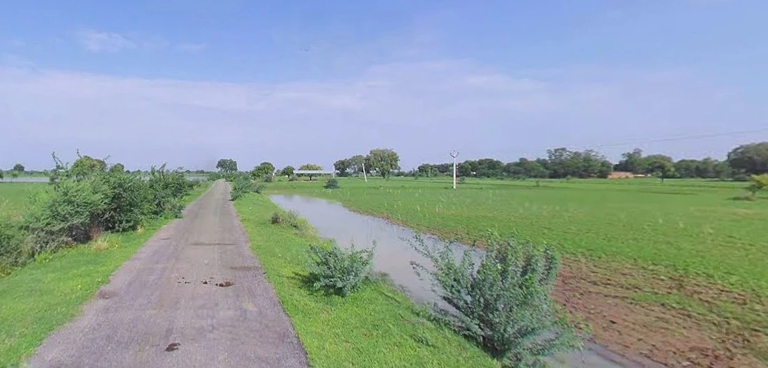 Jhajjar, Haryana 124103, India