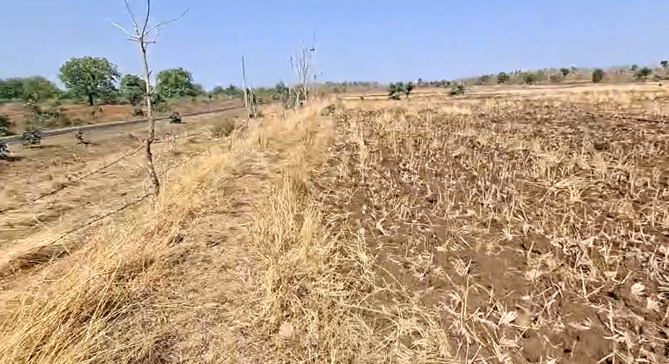 Sahnewal, Punjab, India