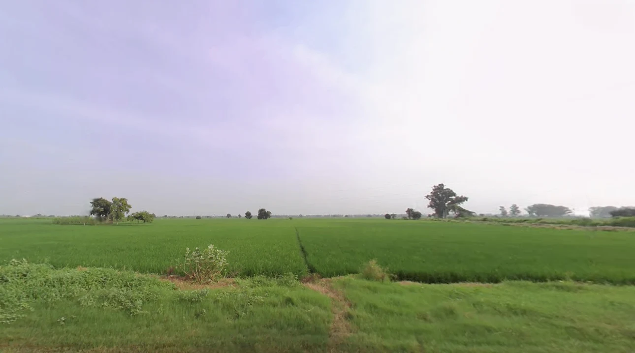 Kawi, Madlauda, Haryana 132113, India preview 2