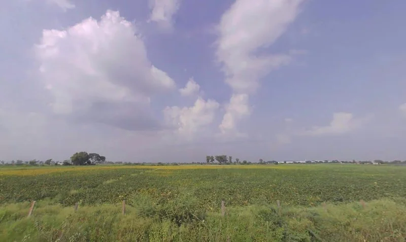 Badakhera, Rajasthan 323603, India preview 2