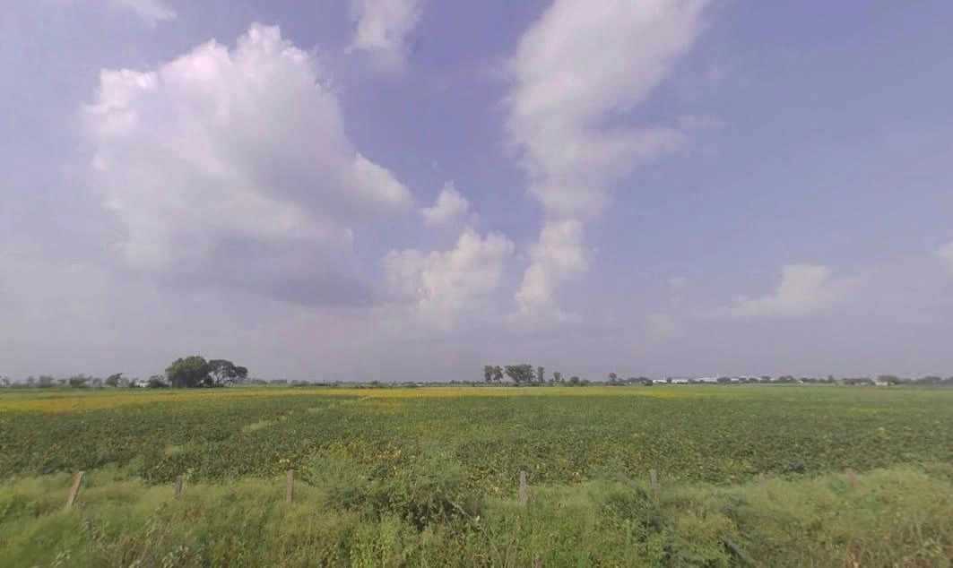 Badakhera, Rajasthan 323603, India