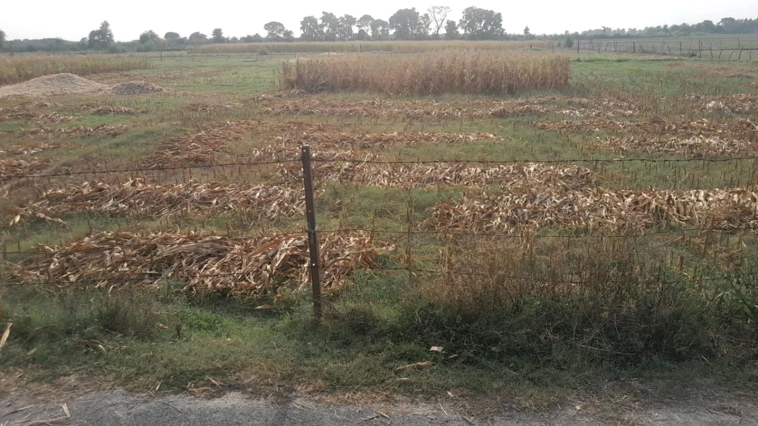 P675+X8 Dadera, Uttar Pradesh, India