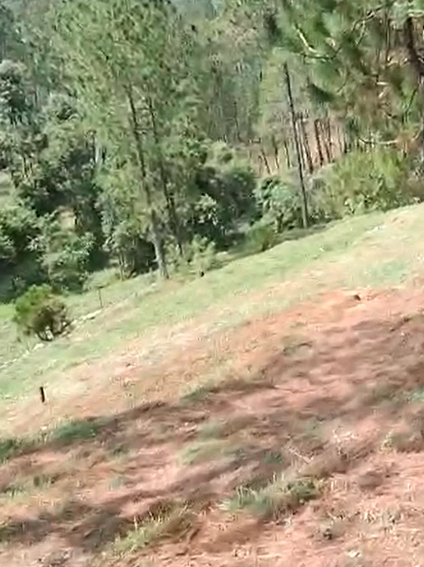 9JMH+XVW, Nainital, Ladfora Malla, Uttarakhand 263136, India