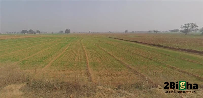 Gelpur, Rajasthan 301707, India