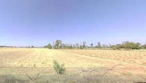 Dignagar, West Bengal 741401, India preview 3