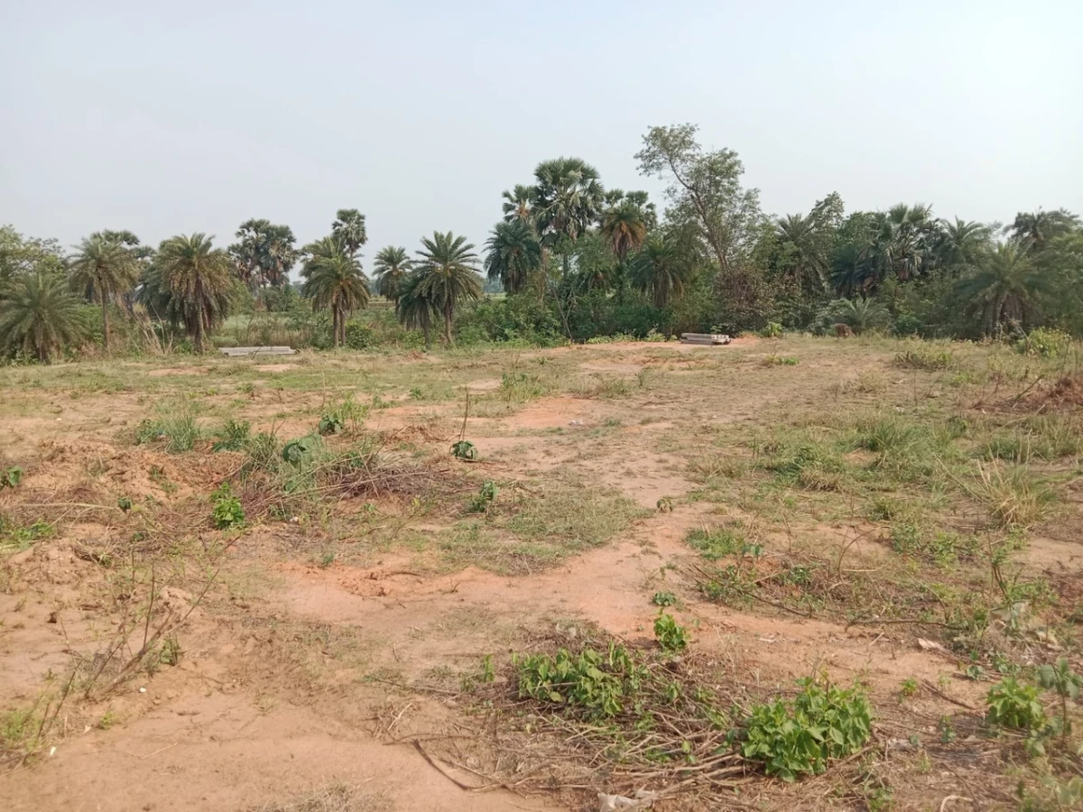 Barjora, West Bengal 722202, India