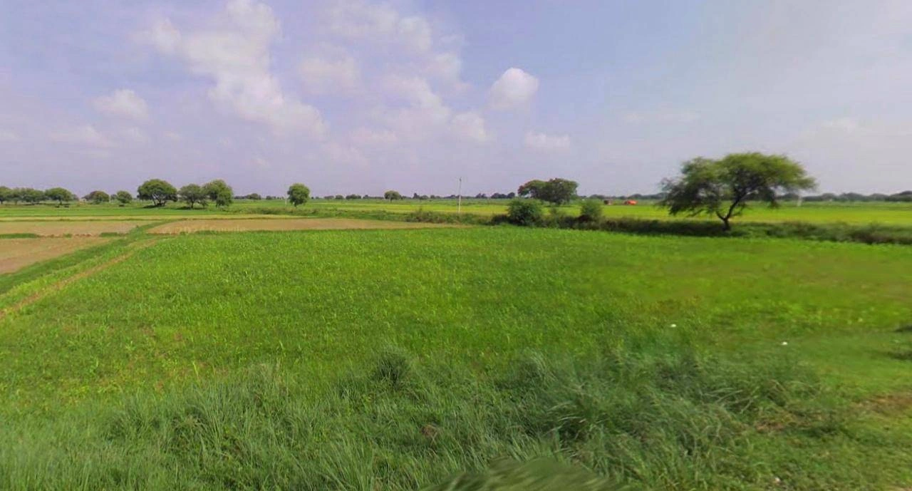 Anupgarh, Rajasthan 335701, India