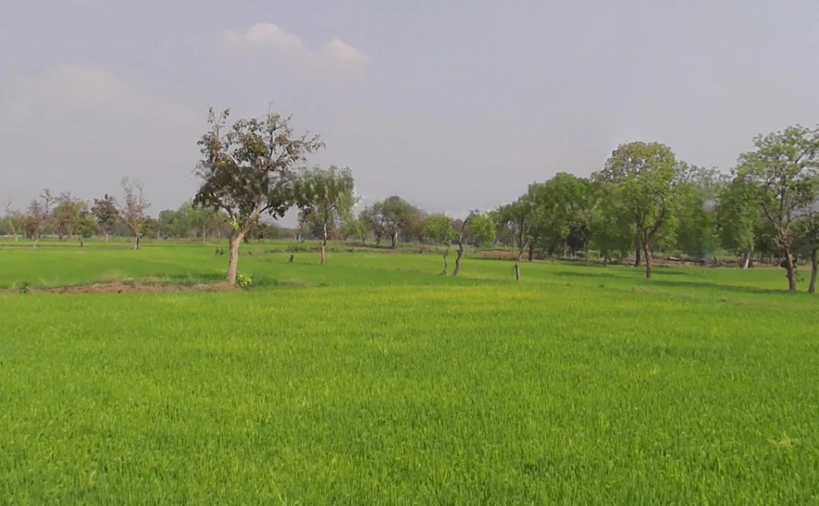 Amethi, Chhattisgarh, India