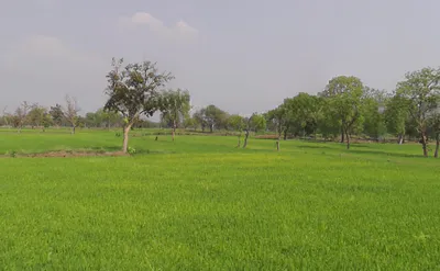 Amethi, Chhattisgarh, India preview 2