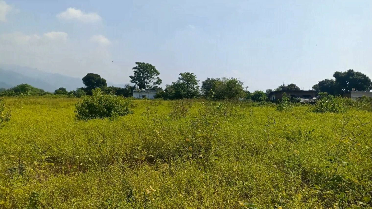 Jamni Pur, Uttarakhand, India