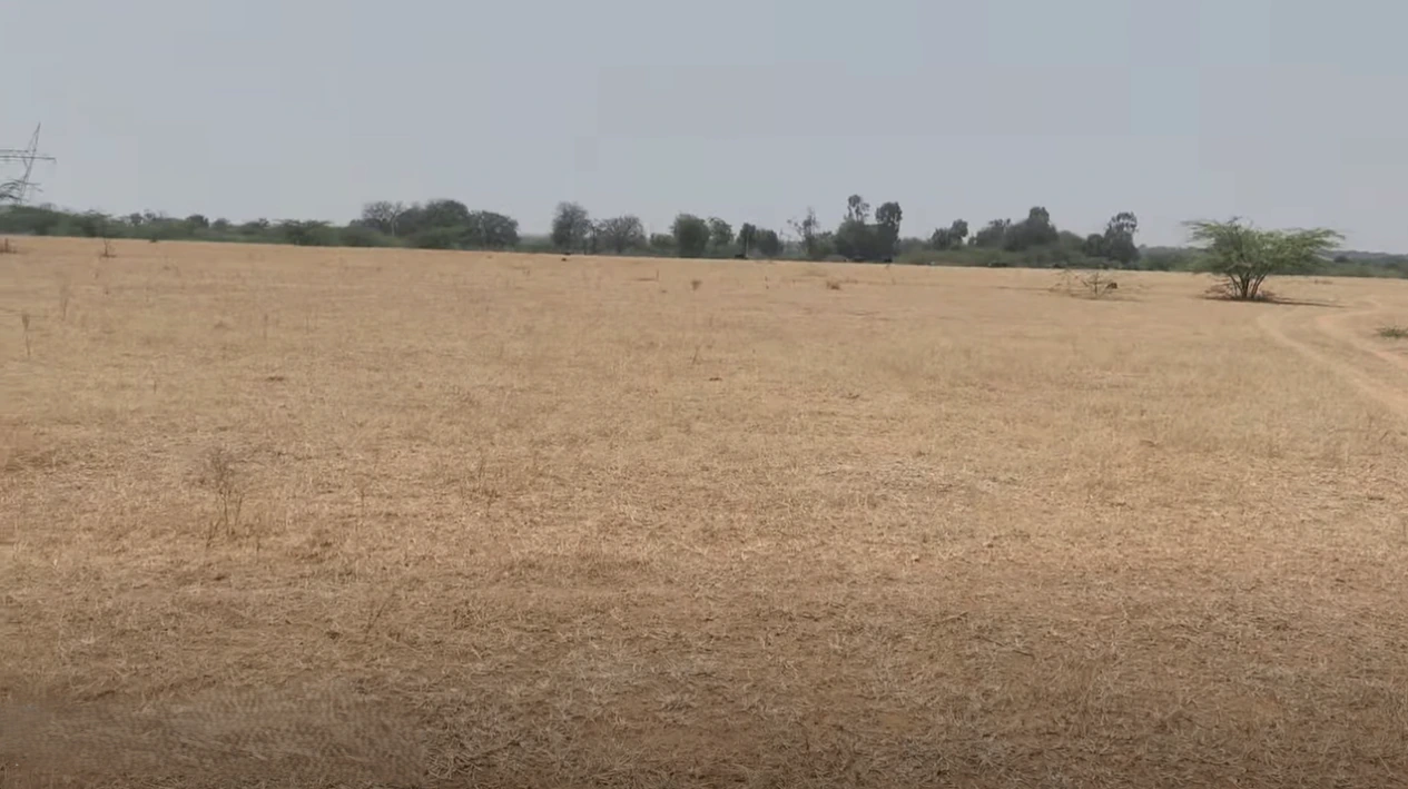 2G63+6R Nagalur, Andhra Pradesh, India