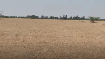 2G63+6R Nagalur, Andhra Pradesh, India preview 2