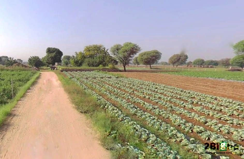 Jatwara, Rajasthan 321609, India