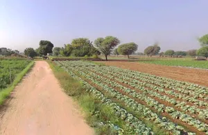Jatwara, Rajasthan 321609, India preview 3
