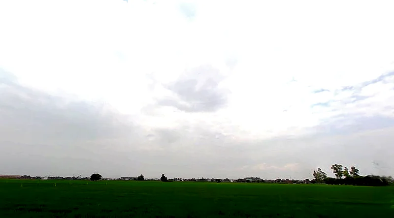 Rajpura, Punjab, India preview 2