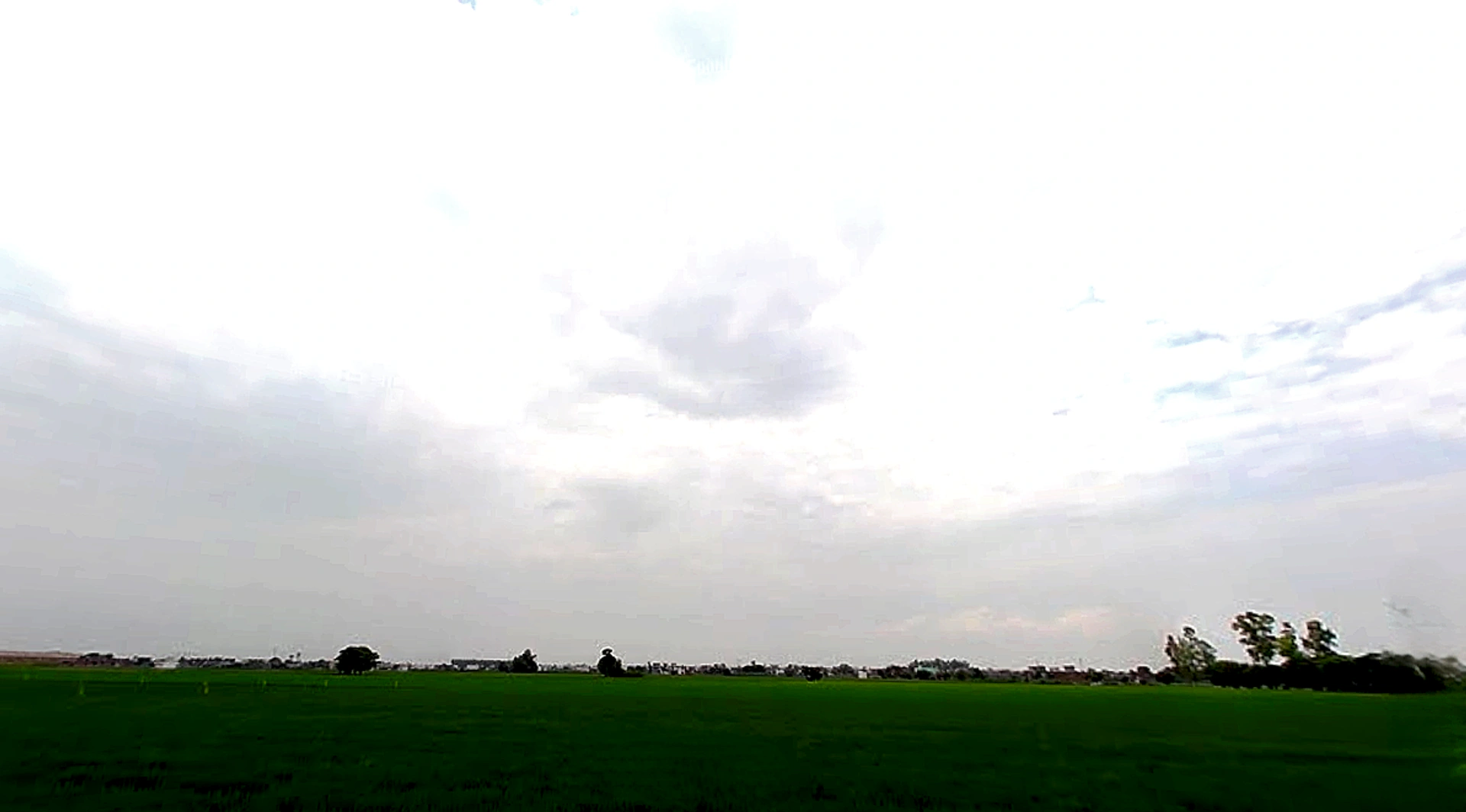 Rajpura, Punjab, India