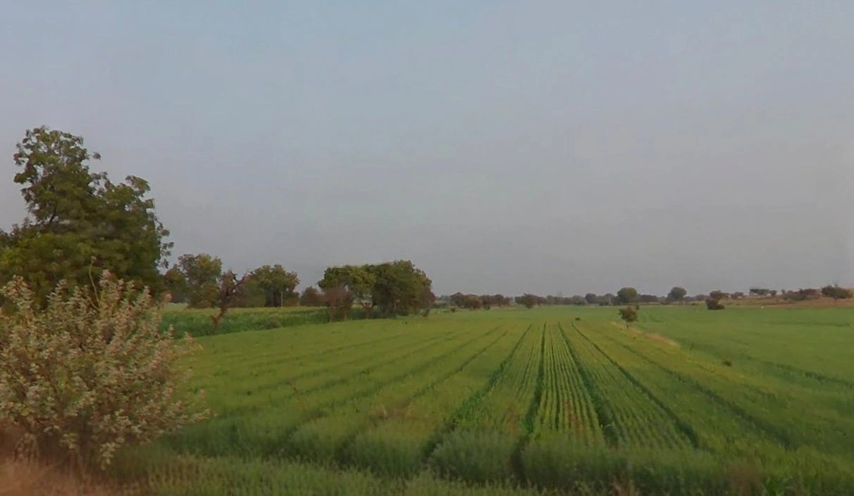 5352+MR8, Bhogdad, Madhya Pradesh 454446, India