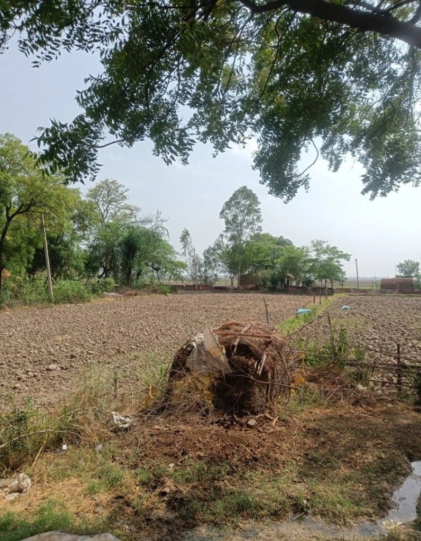 Ramgarh, Rajasthan 301026, India