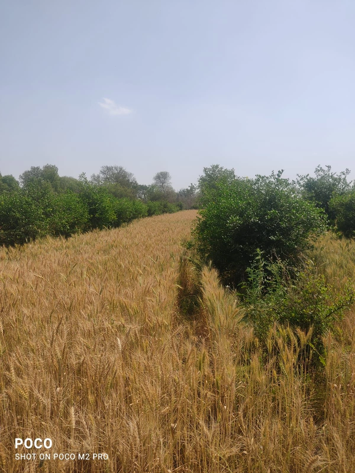 Charkhi Dadri, H7RJ+69V, Bhiwani, Charkhi Dadri, Haryana 127306, India