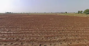 Vadgas, Gujarat 382150, India preview 2