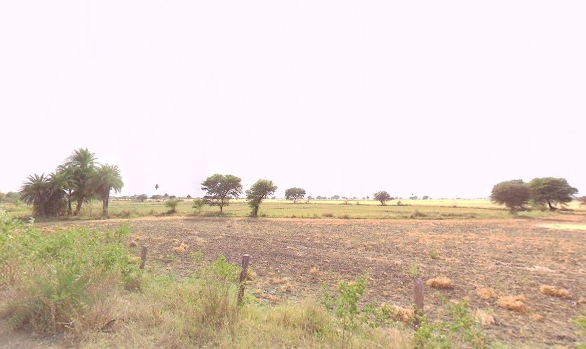 Chichanda, Madhya Pradesh 460665, India