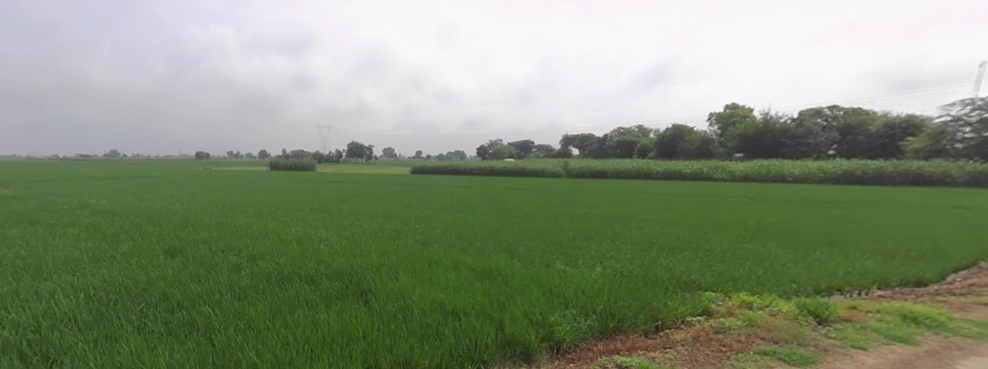 Rasanheri, Punjab, India