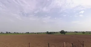 Siwani, Haryana 127046, India preview 3