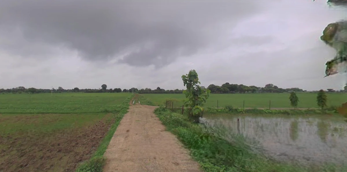 Jhajjar, Haryana 124103, India