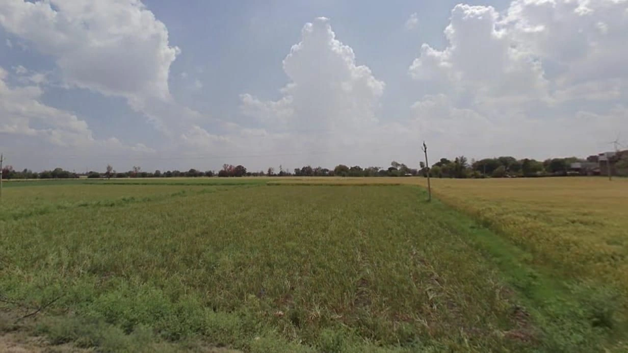 Nichroli, Madhya Pradesh 475661, India preview 3