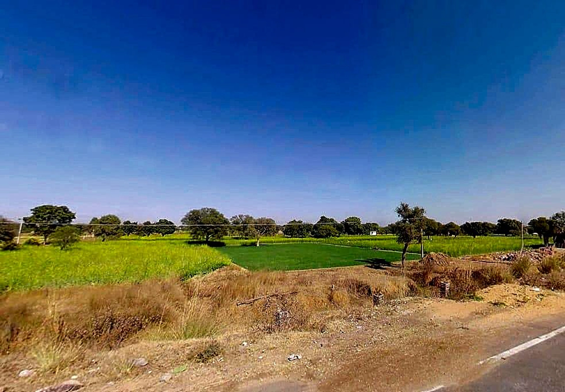 Shahpura, Rajasthan 303103, India