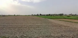 Bashara, Haryana 132115, India preview 3