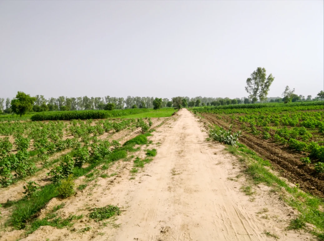 Hatai, Madhya Pradesh 456335, India preview 4