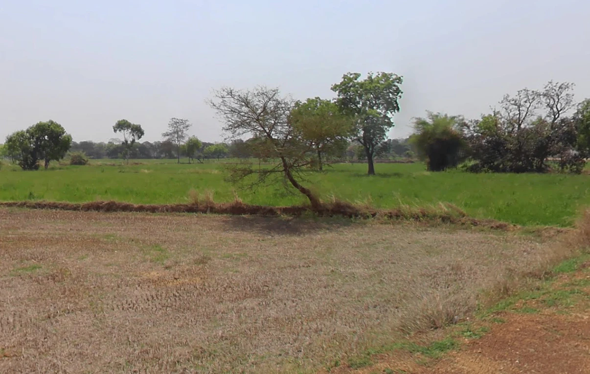 Kumhari-1, Chhattisgarh 493221, India