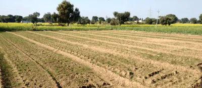 Barsana, Uttar Pradesh 281405, India preview 2