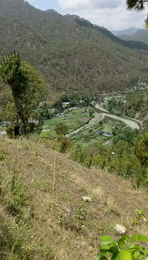 Bhimtal, Uttarakhand 263136, India