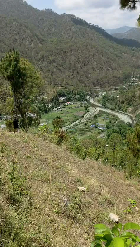 Bhimtal, Uttarakhand 263136, India