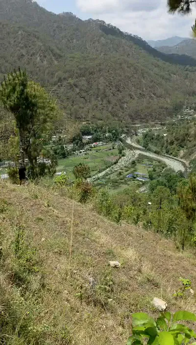 Bhimtal, Uttarakhand 263136, India preview 3