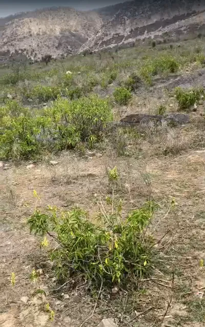 77HQ+9R3, Kishori, Rajasthan 301022, India preview 2