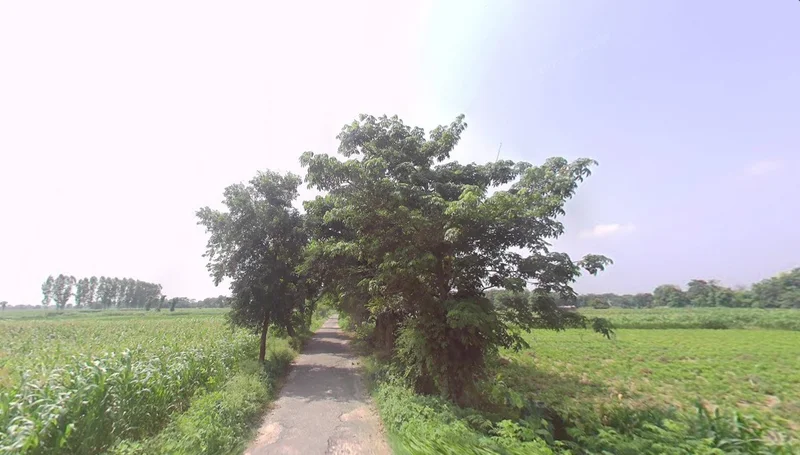 Maldepur, Uttar Pradesh, India preview 3