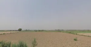 Husainpur, Uttar Pradesh 201206, India preview 2