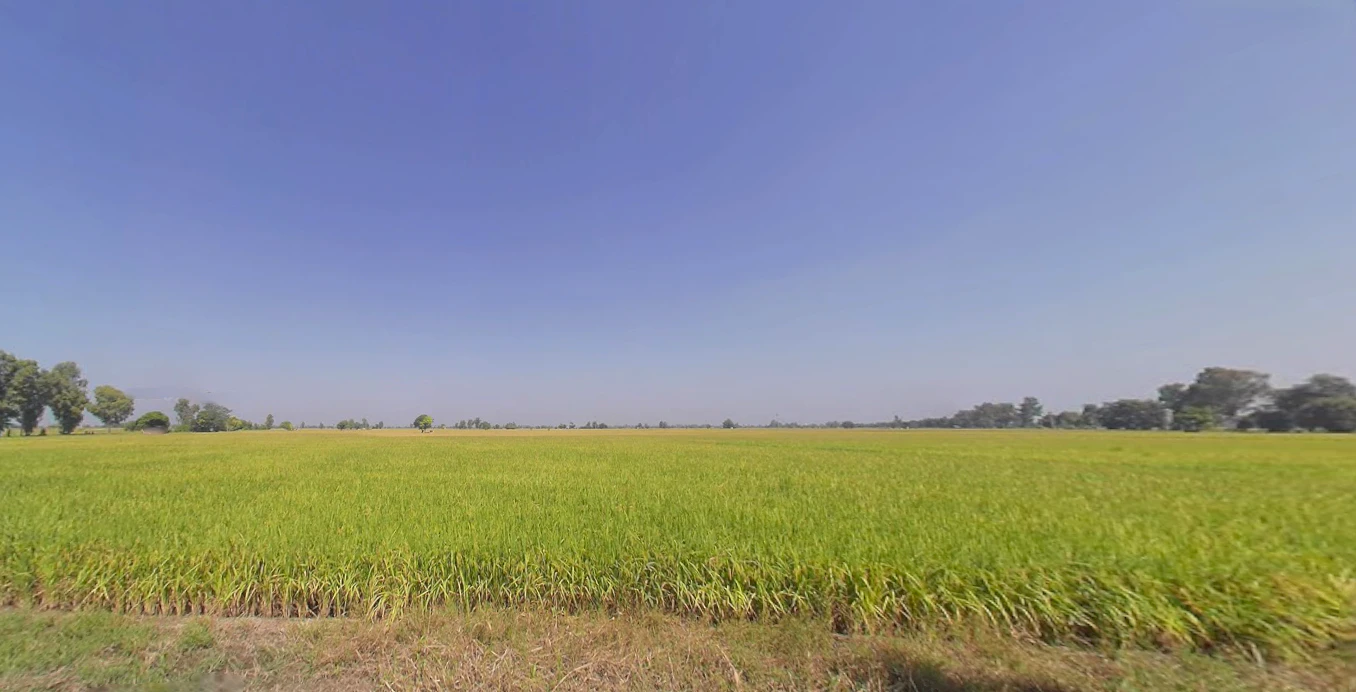 Lehragaga, Punjab 148031, India