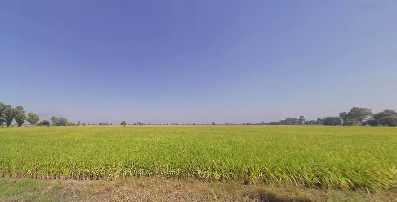 Lehragaga, Punjab 148031, India preview 2